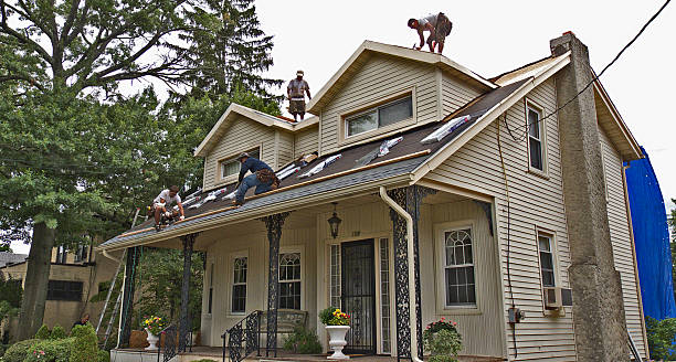 Best Local Roofing Companies  in Manning, IA