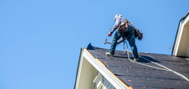 Best Roof Gutter Cleaning  in Manning, IA